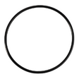 AGCO O-RING 700746580 Parts - True Ag & Turf