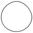 AGCO O-Ring 70925788 Parts - True Ag & Turf