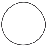 AGCO O-Ring 70925788 Parts - True Ag & Turf