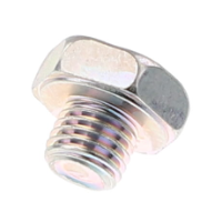 AGCO DRAIN PLUG 7064187M1 Parts - True Ag & Turf