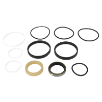 AGCO SEALS KIT 1606532M94 Parts - True Ag & Turf