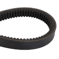 AGCO BELT 72641883 Parts - True Ag & Turf