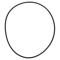 AGCO O-RING 70926560 Parts - True Ag & Turf