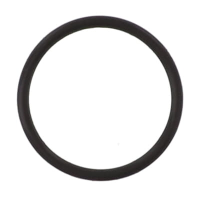 AGCO O-RING 70935848 Parts - True Ag & Turf