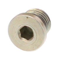 AGCO HEX SOCKET HEAD PLUG 70928605 Parts - True Ag & Turf