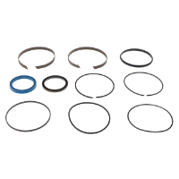 AGCO SEAL 1609682M91 Parts - True Ag & Turf
