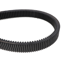 AGCO Rotor Drive Belt 71453906 Parts - True Ag & Turf