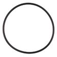 AGCO O-RING 3704957M1 Parts - True Ag & Turf