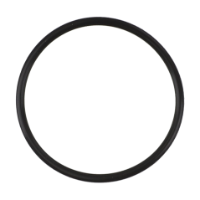 AGCO O-RING CH6V-0894 Parts - True Ag & Turf