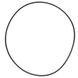 AGCO O-Ring 3176257M1 Parts - True Ag & Turf