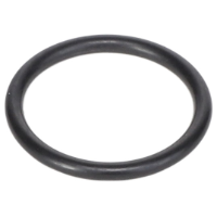AGCO O-RING 72252464 Parts - True Ag & Turf