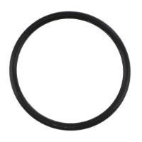 AGCO O-RING CH8C-5193 Parts - True Ag & Turf