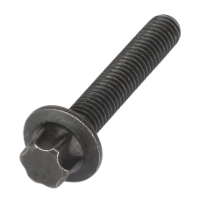 AGCO TORX SCREW 72417071