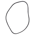 AGCO Gasket, Piston Gasket 3790323M1 Parts - True Ag & Turf