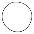 AGCO O-RING SEAL 401920X1 Parts - True Ag & Turf