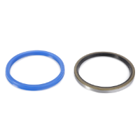 AGCO Seal Kit, Cylinder 1606591V91 Parts - True Ag & Turf
