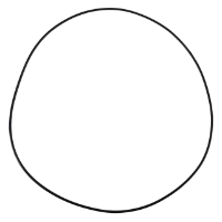 AGCO O-RING 72252603 Parts - True Ag & Turf