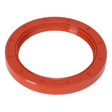 AGCO SEAL 1447690V1 Parts - True Ag & Turf