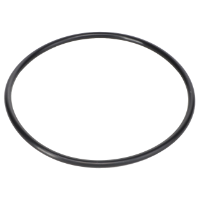 AGCO O-RING FEL128007 Parts - True Ag & Turf