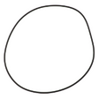 AGCO O-RING ACW1641890 Parts - True Ag & Turf