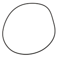 AGCO O-RING ACW1641890 Parts - True Ag & Turf