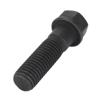 AGCO SCREW 72420807 Parts - True Ag & Turf