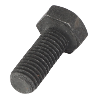 AGCO SCREW R3011241 Parts - True Ag & Turf