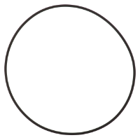 AGCO O-RING ACP0368960 Parts - True Ag & Turf