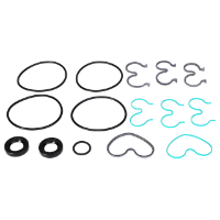 AGCO SEALS KIT 3901129M91 Parts - True Ag & Turf