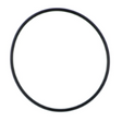 AGCO O-RING 3904498M1 Parts - True Ag & Turf