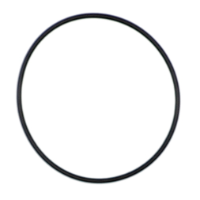 AGCO O-RING 3904498M1 Parts - True Ag & Turf