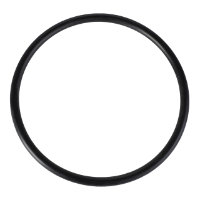 AGCO O-RING 70932256 Parts - True Ag & Turf