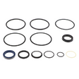 AGCO SEAL KIT 3643073M91 Parts - True Ag & Turf