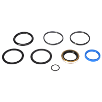 AGCO SEALS KIT 642516 Parts - True Ag & Turf