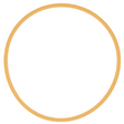 AGCO SEAL RING 70248041 Parts - True Ag & Turf