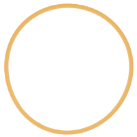 AGCO SEAL RING 70248041 Parts - True Ag & Turf
