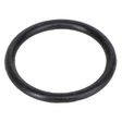 AGCO O-RING AL519036 Parts - True Ag & Turf