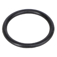 AGCO O-RING AL519036 Parts - True Ag & Turf