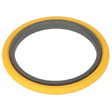 AGCO OIL SEAL 4367250M3 Parts - True Ag & Turf