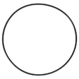 AGCO O-Ring 70924139 Parts - True Ag & Turf
