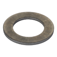 AGCO FLAT WASHER 3758198M1 Parts - True Ag & Turf