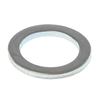 AGCO FLAT WASHER 1072496M1 Parts - True Ag & Turf