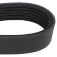 AGCO OEM Belt 844077V1 Parts - True Ag & Turf