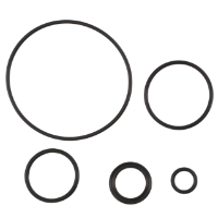 AGCO SEAL KIT 855138 Parts - True Ag & Turf