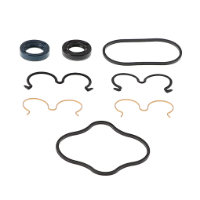 AGCO SEAL KIT 543977D1 Parts - True Ag & Turf