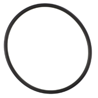 AGCO O-RING 3702856M1 Parts - True Ag & Turf