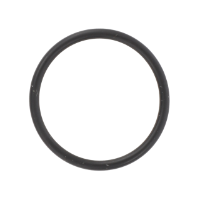 AGCO O-Ring, √ò 19,10 X 1,60 mm 3019665X1 Parts - True Ag & Turf
