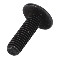 AGCO TORX HEAD SCREW ACW5572010 Parts - True Ag & Turf