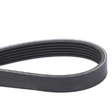 AGCO Serpentine Belt, PK6 Profile 581083D1 Parts - True Ag & Turf