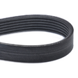 AGCO Serpentine Belt, Kit with Accessories ACP0250350 Parts - True Ag & Turf